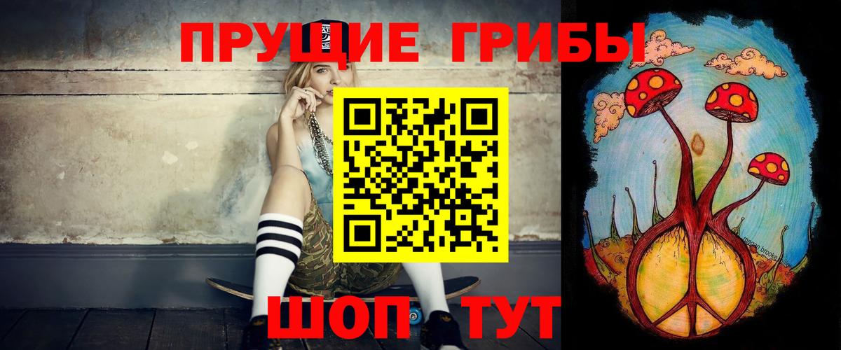 Псилоцибиновые грибы Psilocybe Маркс